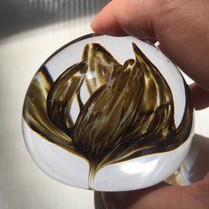Large 3" Strathearn (Scotland) Orchid Flower Paperweight ~ AS IS ~